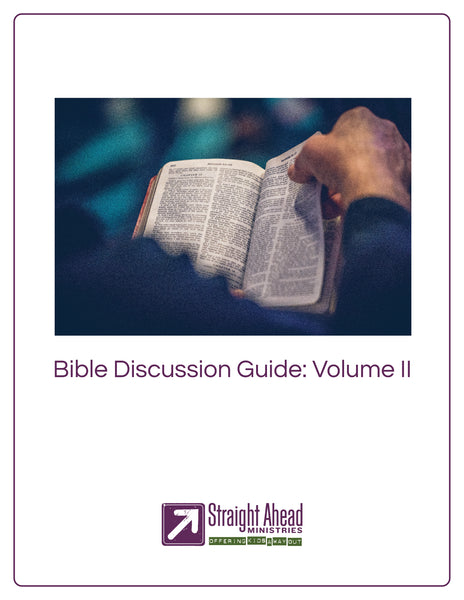 Bible Discussion Guide - Volume 2